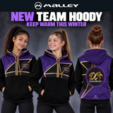 ⭐ NEW FOR 2026 ⭐ DC Diamonds Gymnastics THE UNISEX TEAM HOODY - Additional