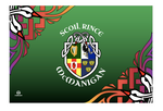 Scoil Rince McManigan Banner