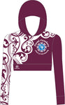 Naomh Fionnbarra School Cropped Hoody
