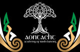 Aontacht Academy Banner